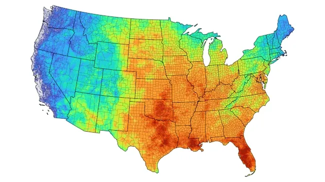 Lightning Map