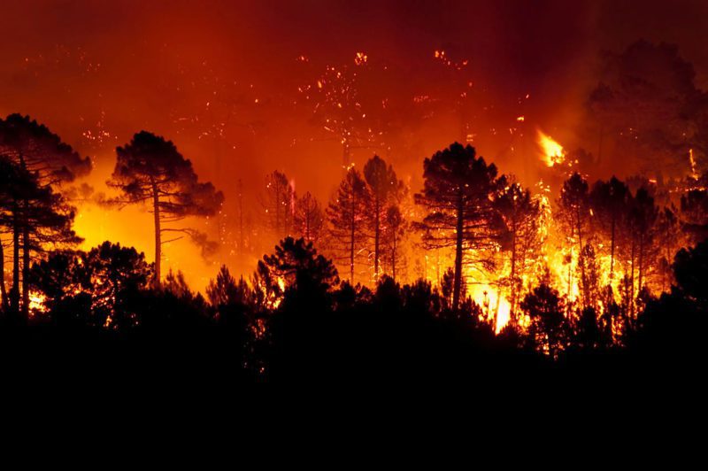 Wildfire emergency Wildfire emergency