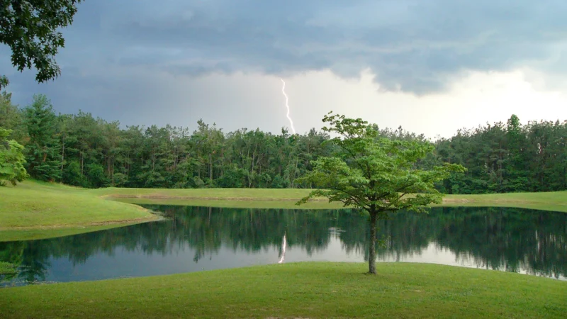 Lightning Storm Near Park