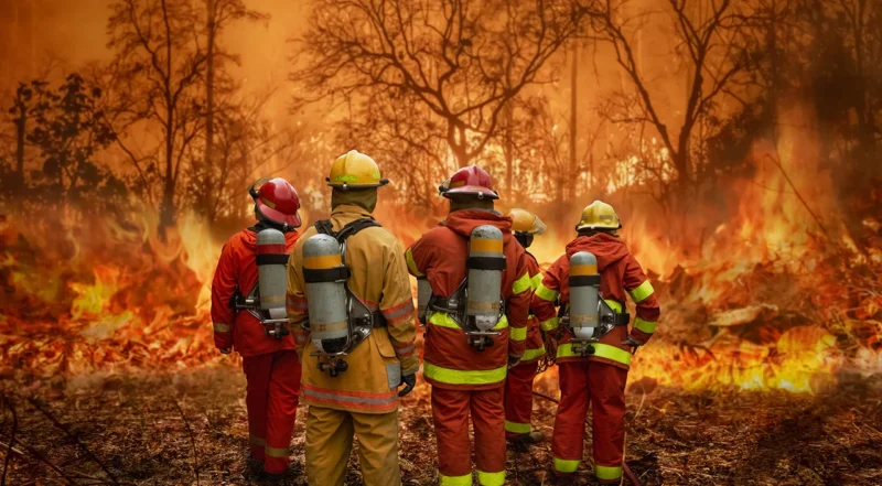 Wildfire Emergency Responders